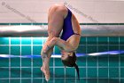 Swimming & Diving vs Babson  Swimming & Diving vs Babson College. - Photo by Keith Nordstrom : Wheaton, Swimming